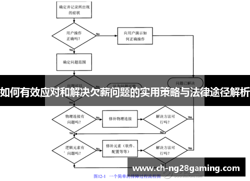 如何有效应对和解决欠薪问题的实用策略与法律途径解析