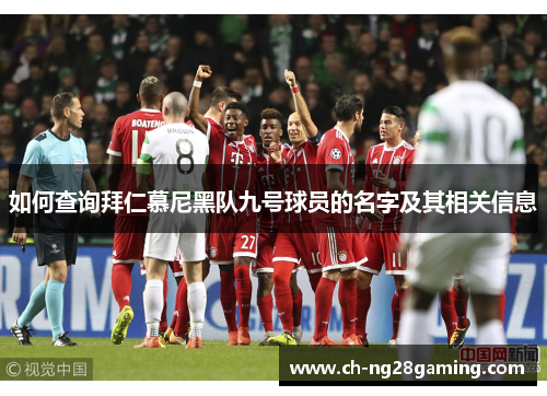 如何查询拜仁慕尼黑队九号球员的名字及其相关信息