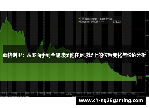 西格诺里：从多面手到全能球员他在足球场上的位置变化与价值分析
