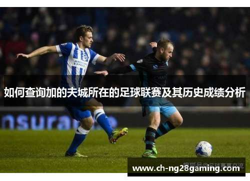 如何查询加的夫城所在的足球联赛及其历史成绩分析 如何查询加的夫城所在的足球联赛及其历史成绩分析